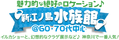 �X�J�C�c���[&�\���}�`�����V�]�m��������@60�E70�㒆�S