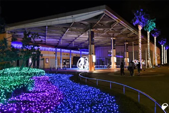 新江の島水族館