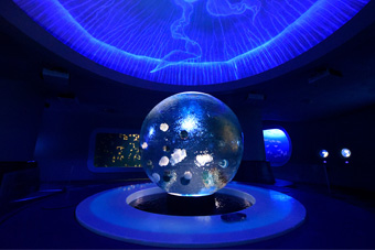 クラゲの世界へようこそ