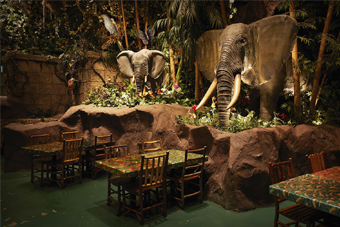 ���C���t�H���X�g�E�J�t�F