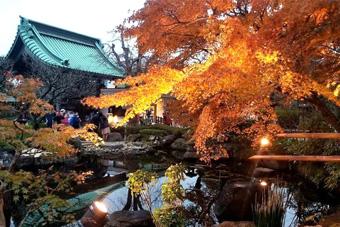 ���J�� �g�t