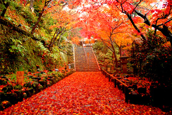 ���J�� �g�t