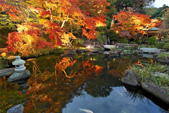 ���J�� �g�t