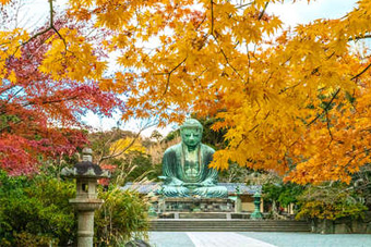 ���q�啧 �g�t