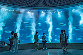 アクアシアター