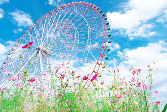 日本最大規模の、大観覧車