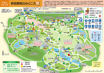 �V�h�䉑�݂̂���H