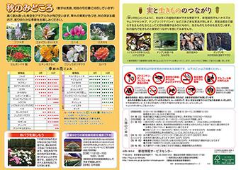 �V�h�䉑�݂̂���H