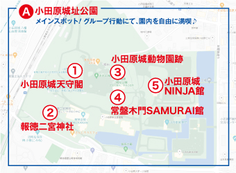 ���[�g�}�b�v�@���C��