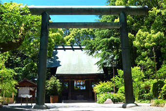 �񓿓�{�_��