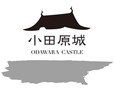 ���c���郍�S