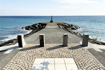 �r�v�̓���