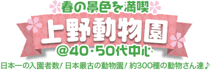 �t�̌i�F�𖞋i��쓮����