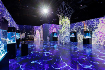 �}�W�J���O���E���h