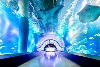 �����_�[�`���[�u