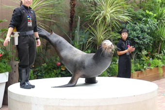 �t�����h���[�X�N�G�A