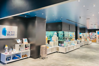 �M�t�g�V���b�v IN THE BLUE