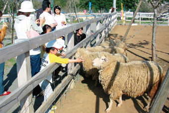 ふれあい牧場