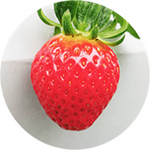 ���}���x���[