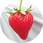 �A�N�A�I�����W