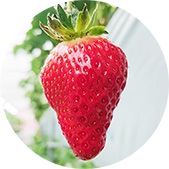 �A�N�A���b�h