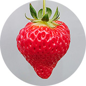 ���܃N�C�[��