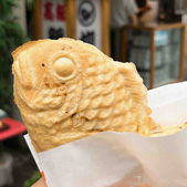 ���������Ă�