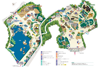 �����}�b�v