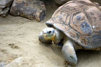 �K���p�S�X�]�E�K��