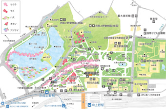 �����}�b�v