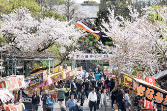 ���Ɖ���