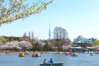 �s�E�̒r�ƃ{�[�g